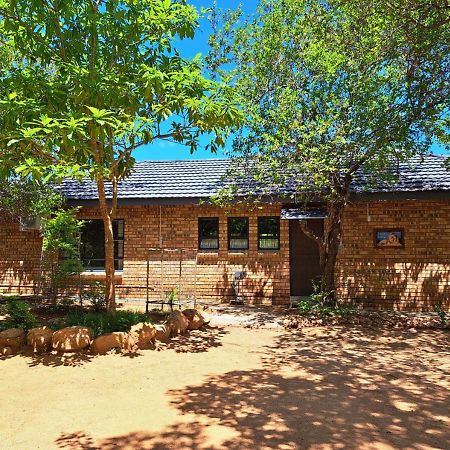 Lion King Marloth Park Exterior foto