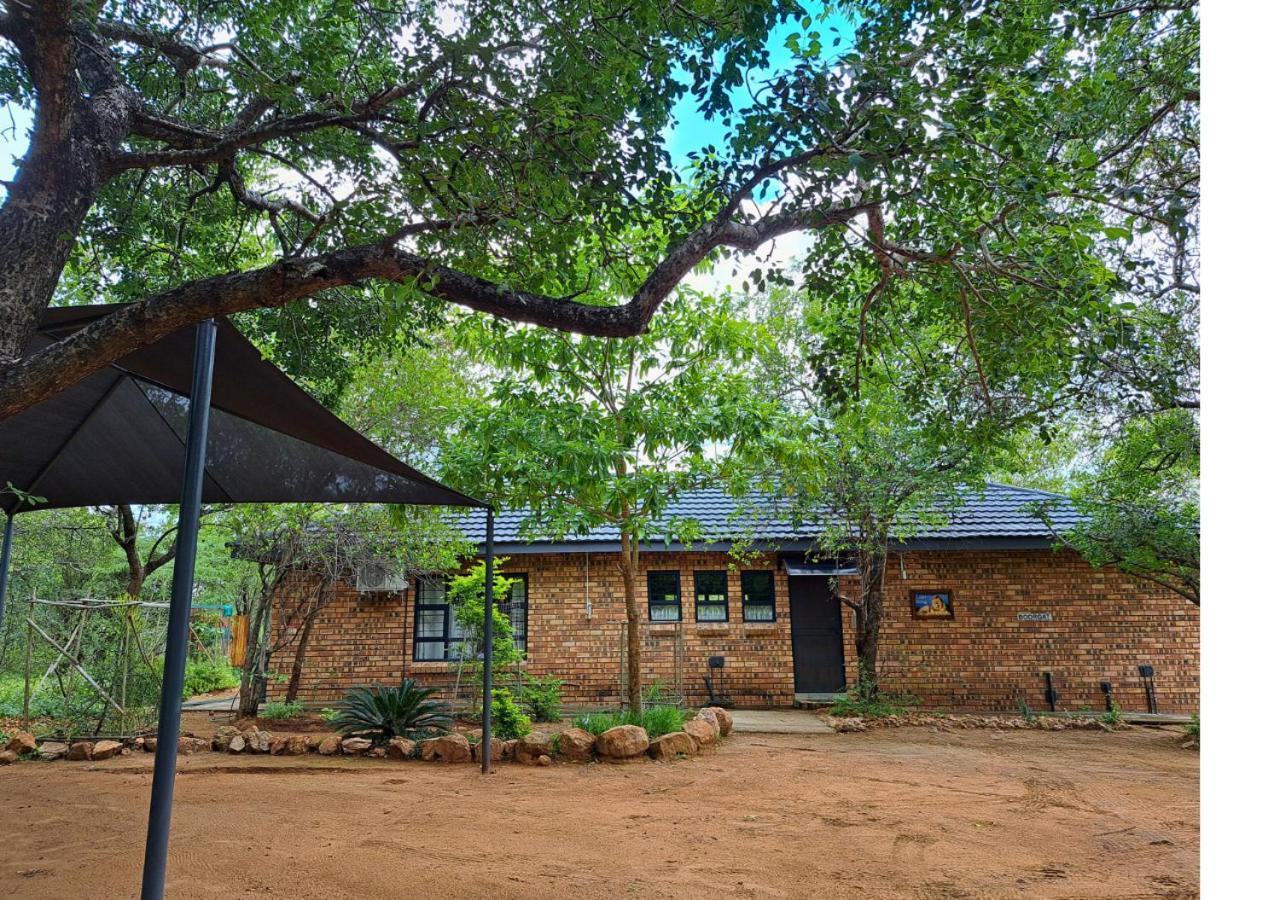 Lion King Marloth Park Exterior foto