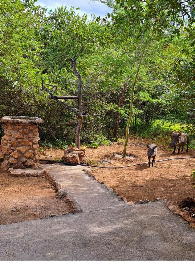 Lion King Marloth Park Exterior foto