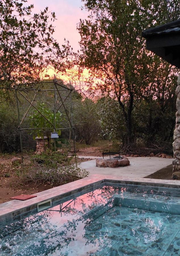 Lion King Marloth Park Exterior foto