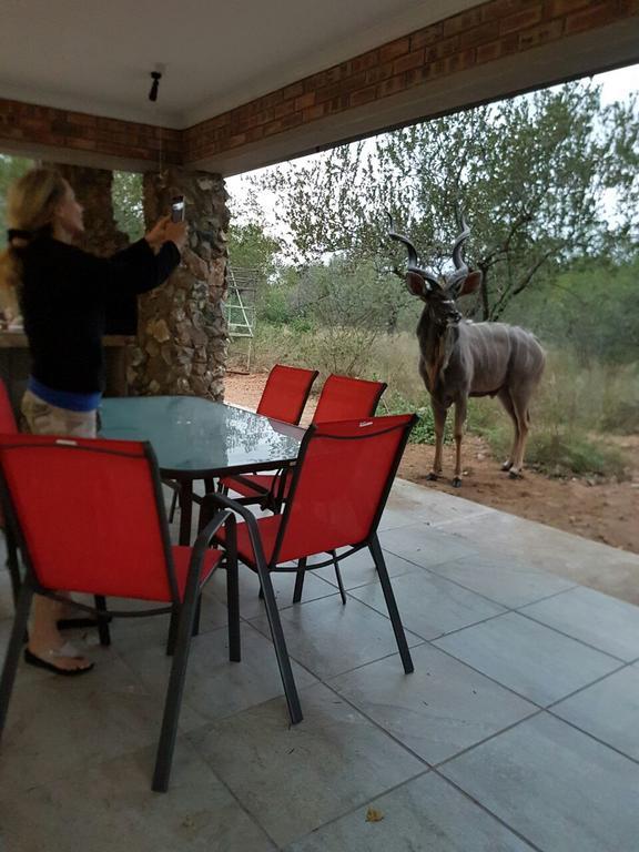 Lion King Marloth Park Exterior foto